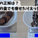 ニシアフの餌の量は結局どう決めれば良いのか
