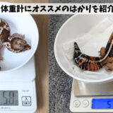 ニシアフの体重計測にオススメのはかりを紹介！