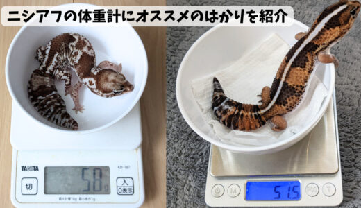 ニシアフの体重計測にオススメのはかりを紹介！