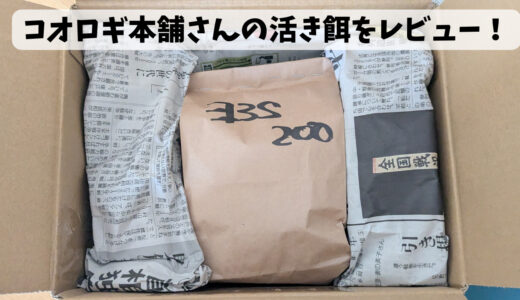 コオロギ本舗さんの活コオロギを買ってみたのでレビューします！